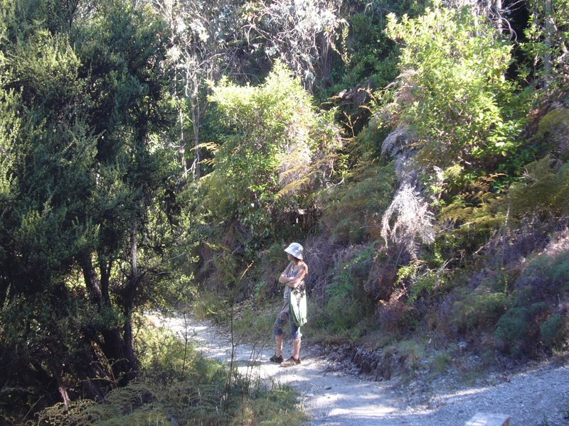 Travel - New Zealand - Twelve Mile Delta